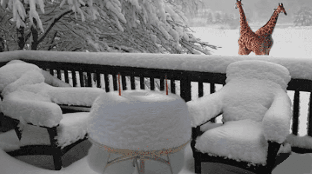 Disruptive Snowfall In South Africa Regionally Up To 50 Cm